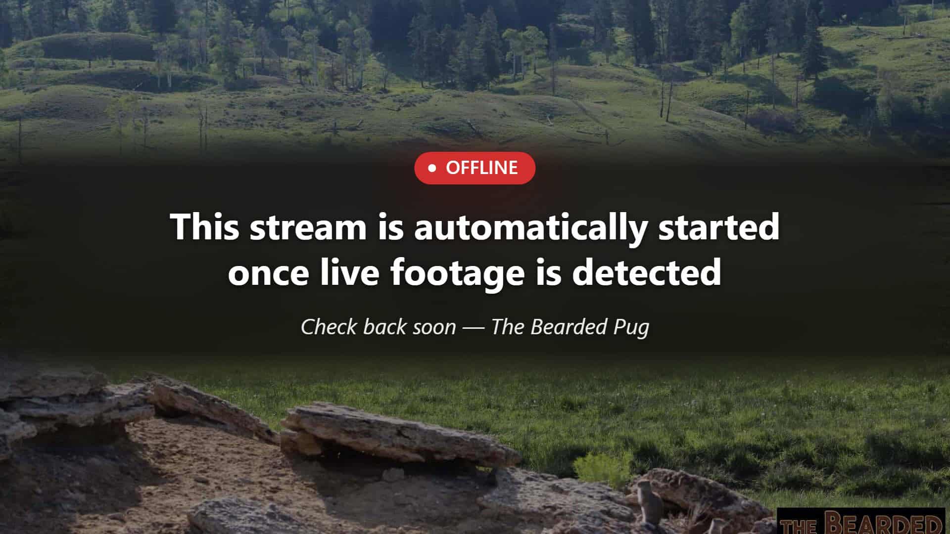Live stream offline. Check back soon.