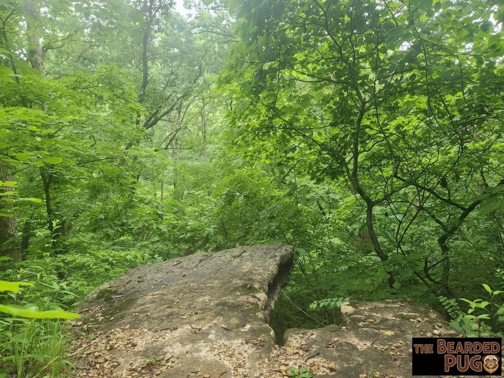 20260608_063453