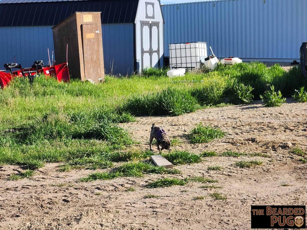 20260616_075740